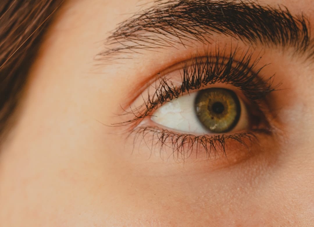 The Lash And Brow Room, Brows & Lashes