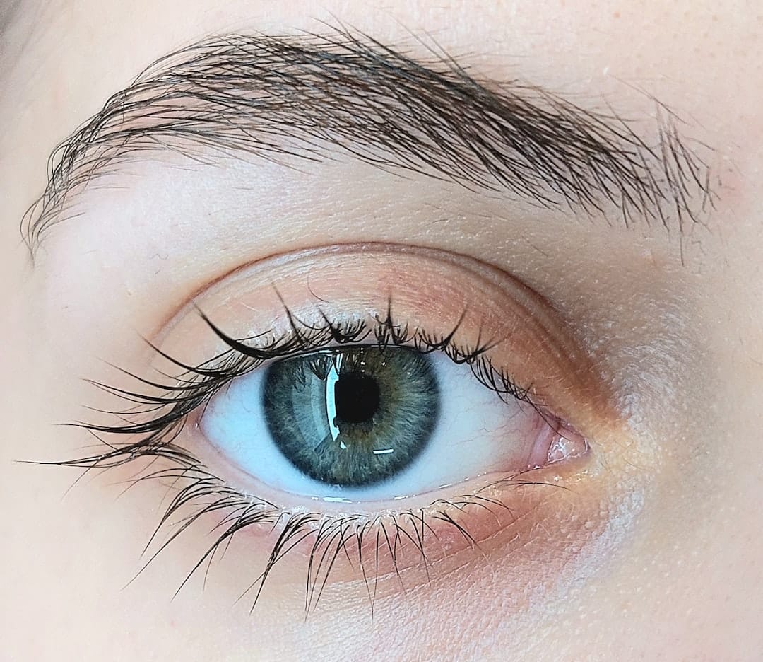 BeJazzled Lashes, Brows & Lashes